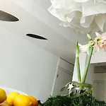 Architectural Loft Appartamento Sofia