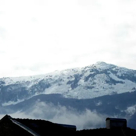 Apartament Architectural Loft *