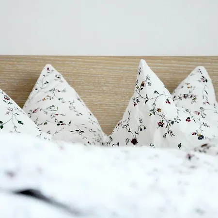 Architectural Loft Apartament Sofia