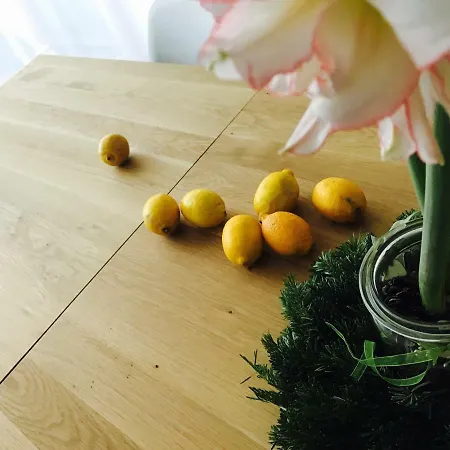 公寓 Architectural Loft 索菲亞