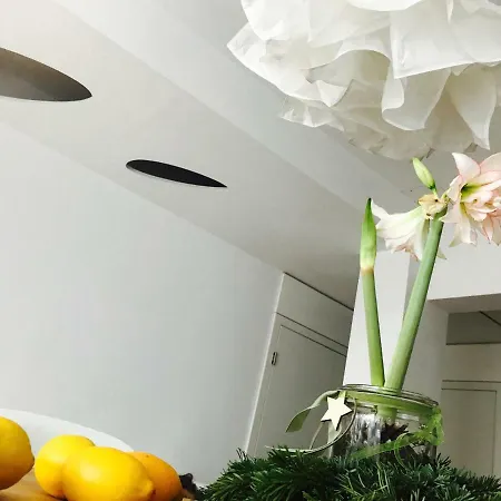 Architectural Loft 公寓 索菲亞