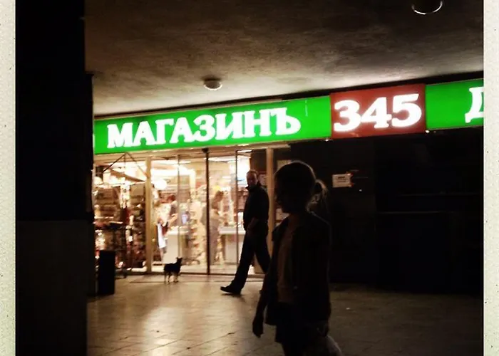 Architectural Loft Sofia