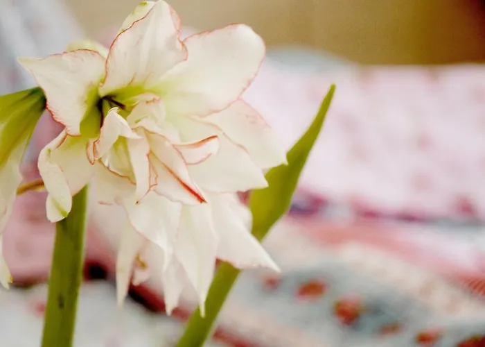 Appartamento Architectural Loft *