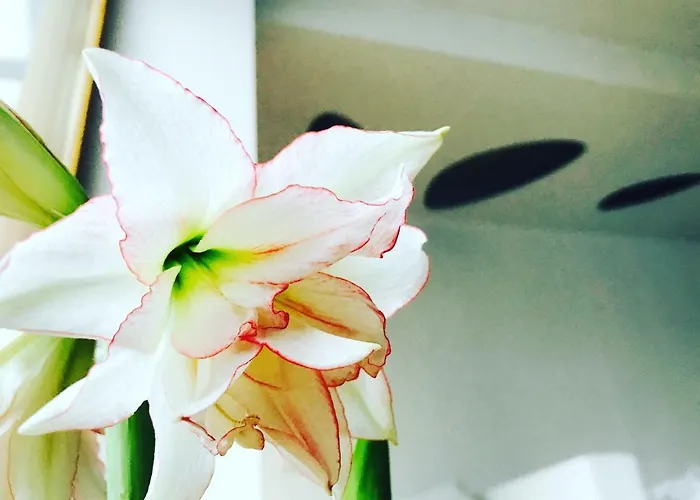 Appartamento Architectural Loft Sofia